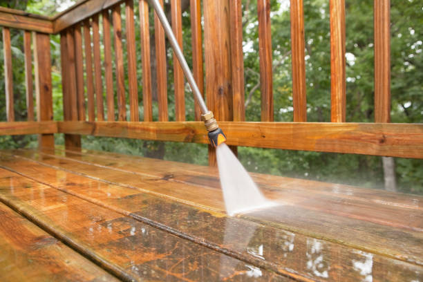 Best Roof Pressure Washing  in Wallace, FL